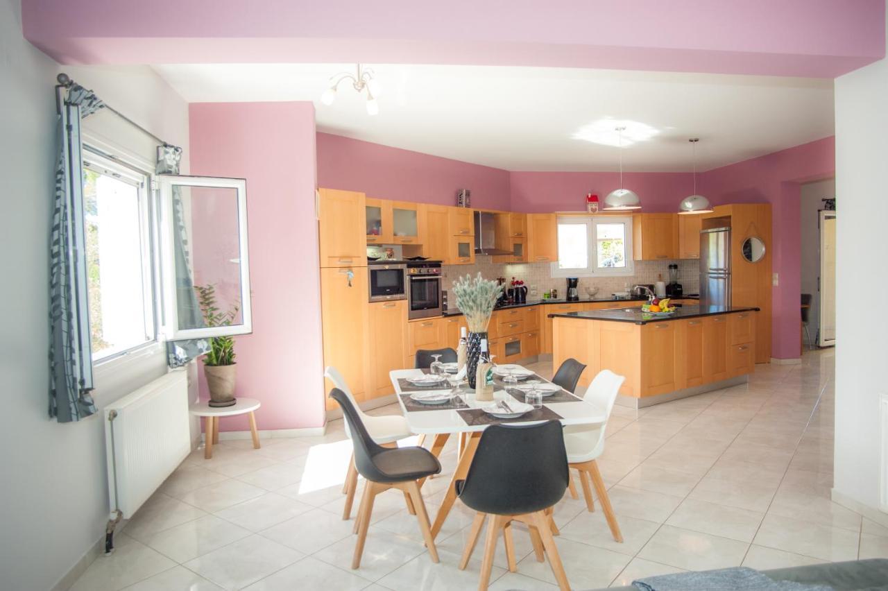 Nikos Apartments Spacious And Panoramic 아르고스톨리온 외부 사진